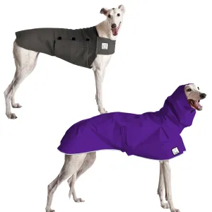 Greyhound Camper Bundle