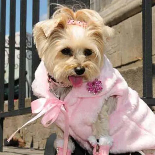 Sleeveless Glamour Dog Coat Pink