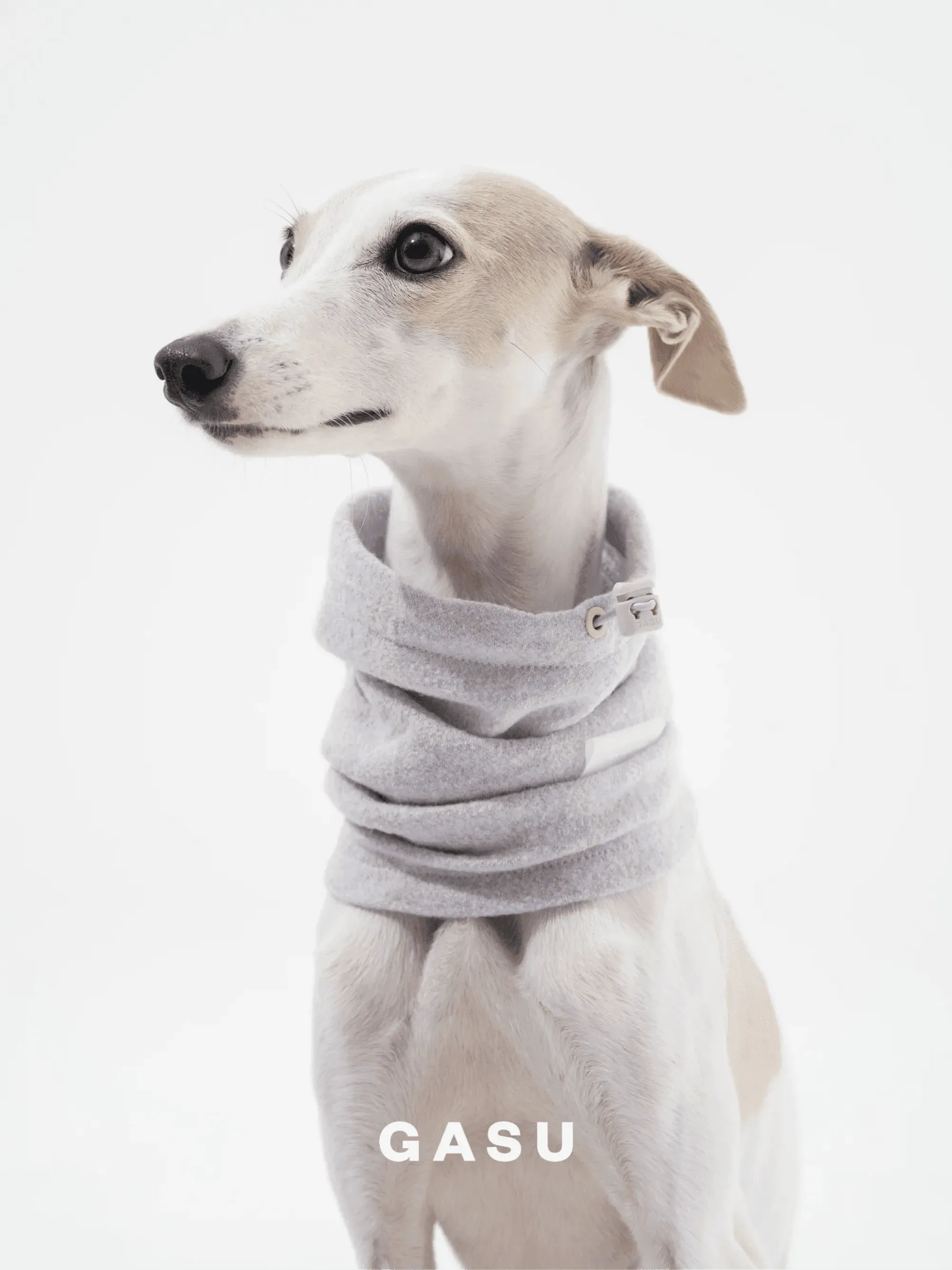 Super Fine Wool Pet Snood